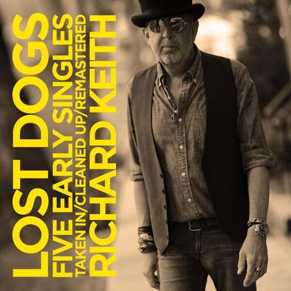 Cover art for Lost Dogs